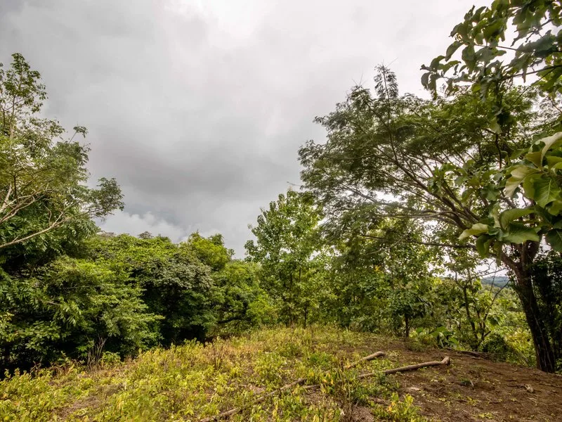 Land For Sale in Samara, photo 15