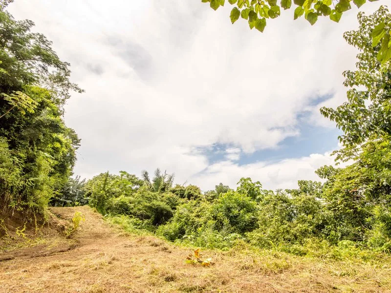 Land For Sale in Samara, photo 3