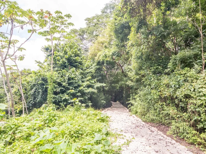 Land For Sale in Samara, photo 4