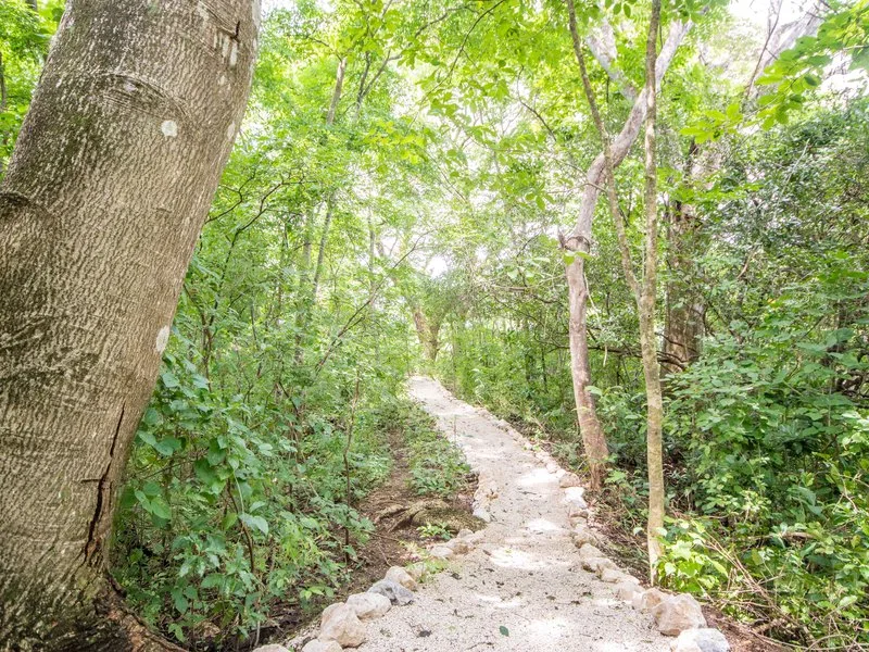 Land For Sale in Samara, photo 6