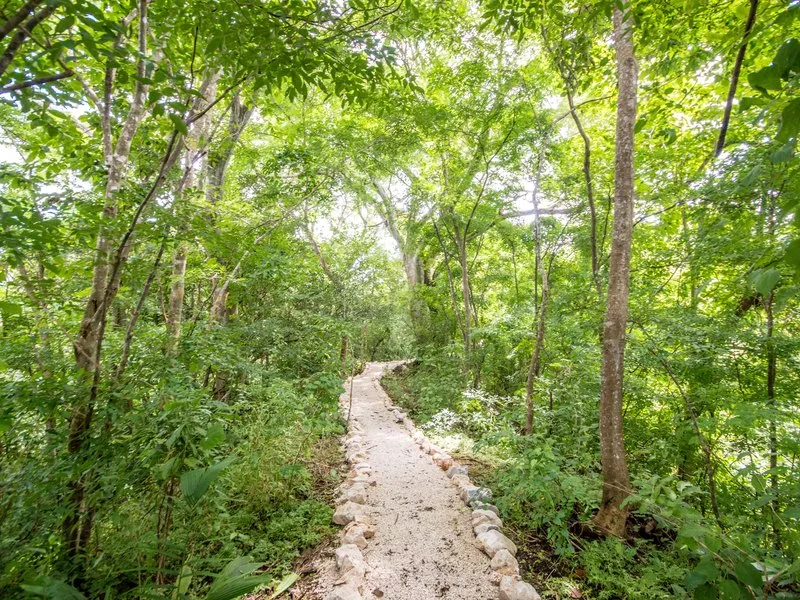 Land For Sale in Samara, photo 7