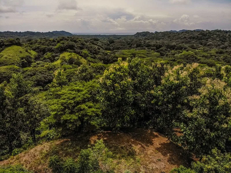 Land For Sale in Samara, photo 9