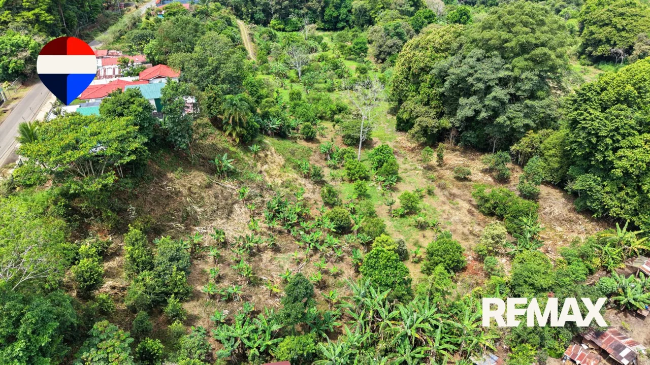 4.29 Hectare Farm for Sale in La Unión, San Pedro, Pérez Zeledón, Costa Rica, photo 13