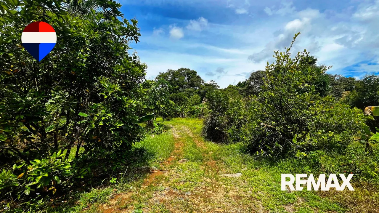 4.29 Hectare Farm for Sale in La Unión, San Pedro, Pérez Zeledón, Costa Rica, photo 14