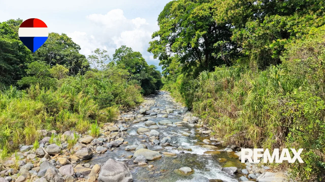 4.29 Hectare Farm for Sale in La Unión, San Pedro, Pérez Zeledón, Costa Rica, photo 15