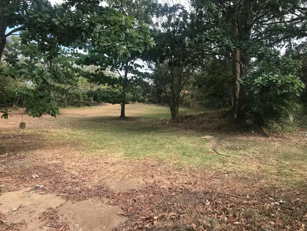 Este terreno se encuentra Brasil de Mora en una urbanización Privada muy cerca centros comerciales, a solo 5 minutos del centro de Ciudad Colón y de la ruta 27., photo 2