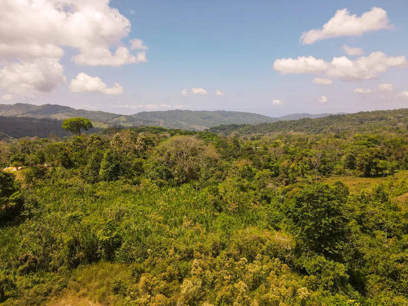 Land For Sale in Perez Zeledon, photo 11