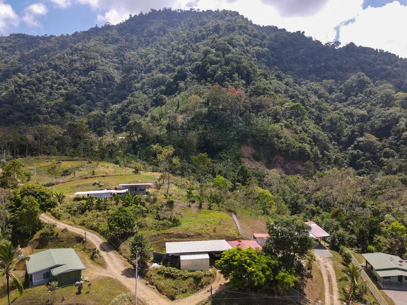 Land For Sale in Perez Zeledon, photo 13