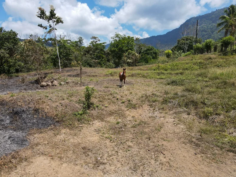 Land For Sale in Perez Zeledon, photo 15