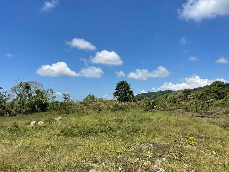 Land For Sale in Perez Zeledon, photo 7