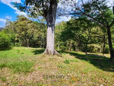 Escape al Paraíso: Su Propio Oasis Privado en la Comunidad Cerrada Quinta Mariposas - 23EA02