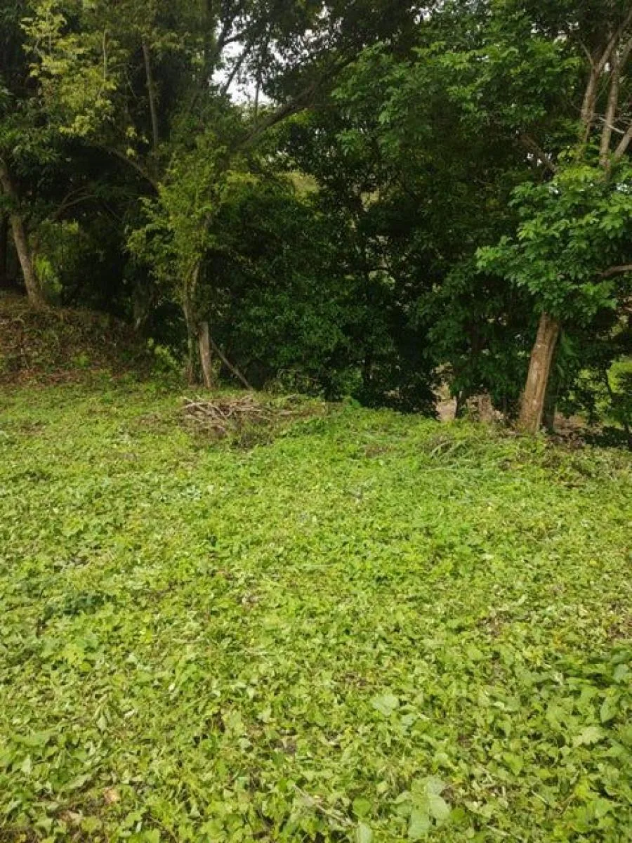 Venta de Propiedad para desarrollo comercial y habitacional en San Pedro Montes de Oca US$3,875,000  - Venta en San Pedro, photo 11