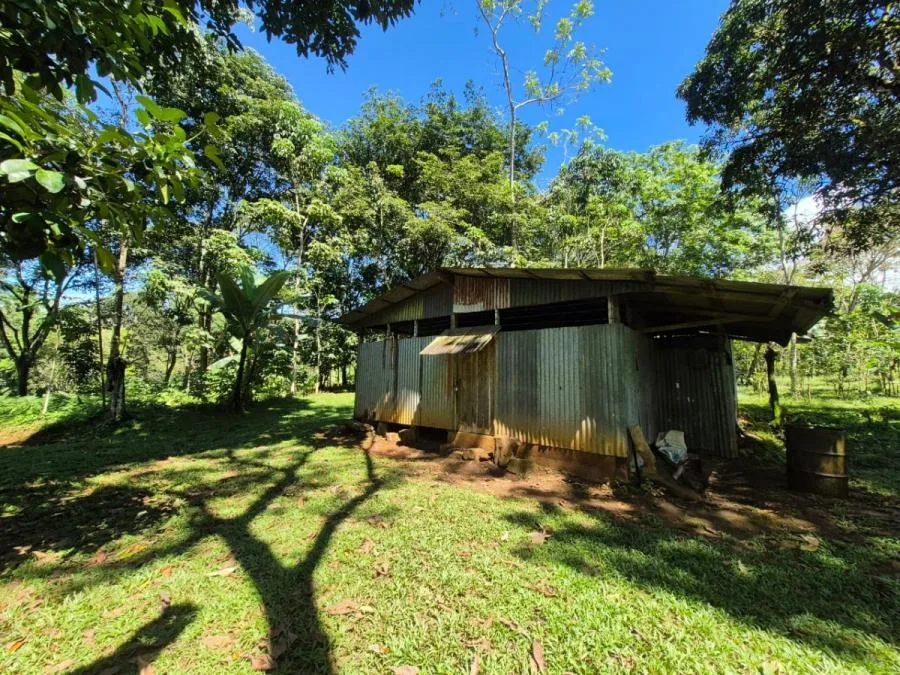 HERMOSA FINCA DE 10+ HECTÁREAS EN QUIZARRÁ, EXCELENTE UBICACIÓN - Venta en Perez Zeledón, photo 14