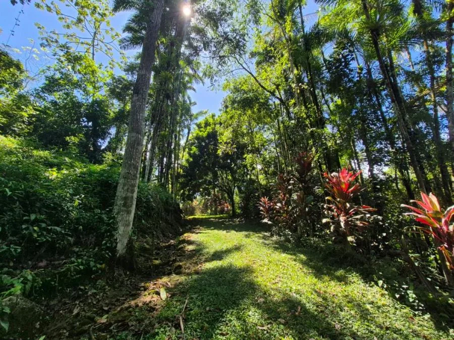 HERMOSA FINCA DE 10+ HECTÁREAS EN QUIZARRÁ, EXCELENTE UBICACIÓN - Venta en Perez Zeledón, photo 15