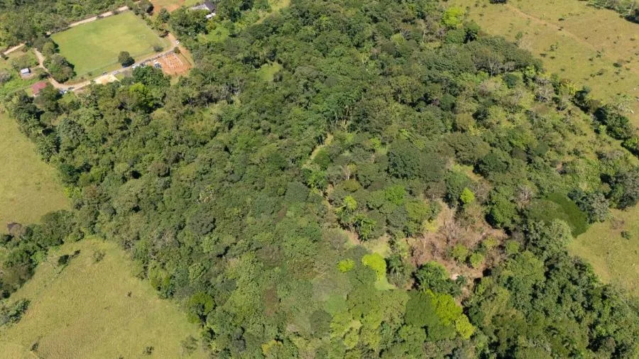 HERMOSA FINCA DE 10+ HECTÁREAS EN QUIZARRÁ, EXCELENTE UBICACIÓN - Venta en Perez Zeledón, photo 6