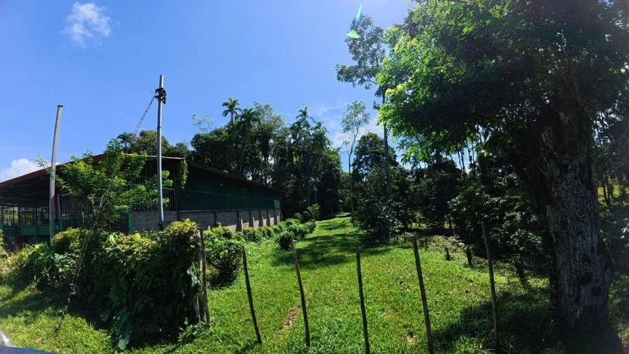 HERMOSA FINCA DE 10+ HECTÁREAS EN QUIZARRÁ, EXCELENTE UBICACIÓN - Venta en Perez Zeledón, photo 9