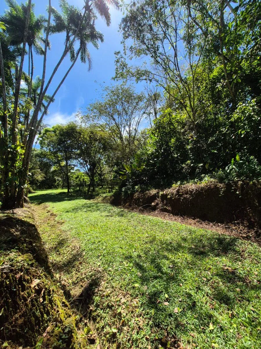 HERMOSA FINCA DE 10+ HECTÁREAS EN QUIZARRÁ, EXCELENTE UBICACIÓN - Venta en Perez Zeledón, photo 10