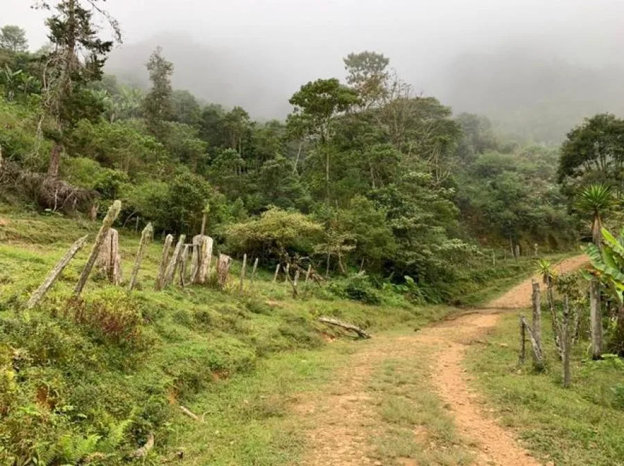 LOTE EN SANTA ELENA PARA CONSTRUIR – OPORTUNIDAD DE INVERSIÓN - Venta en Perez Zeledón, photo 11