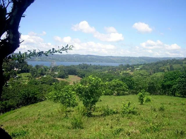 Home Construction Site in Nuevo Tronadora, photo 6
