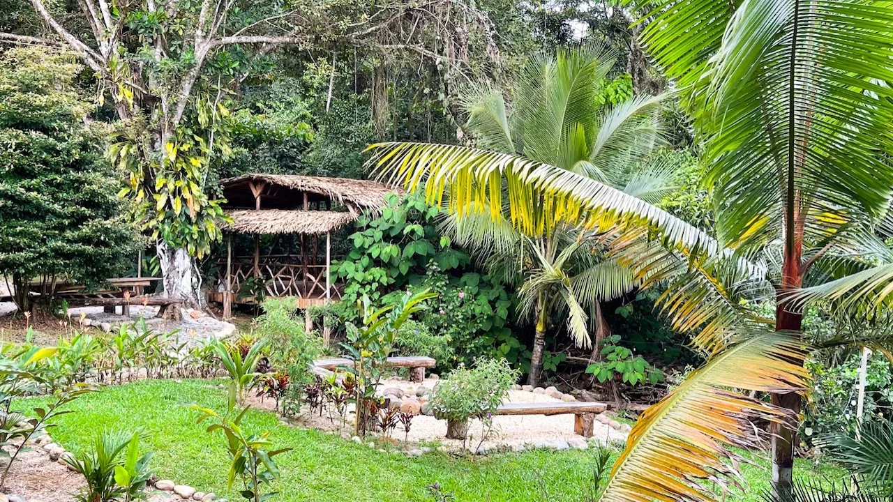 A HOLISTIC SANCTUARY IN SERENITY GARDENS – 1.03 ACRES, photo 9