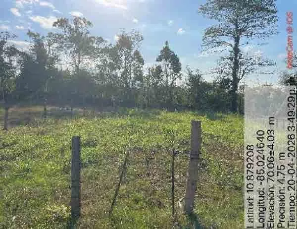 Lote en Upala (bien adjudicado)