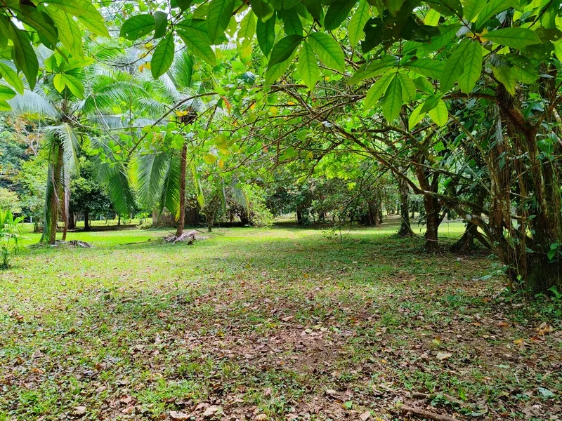 Land For Sale in Puerto Viejo