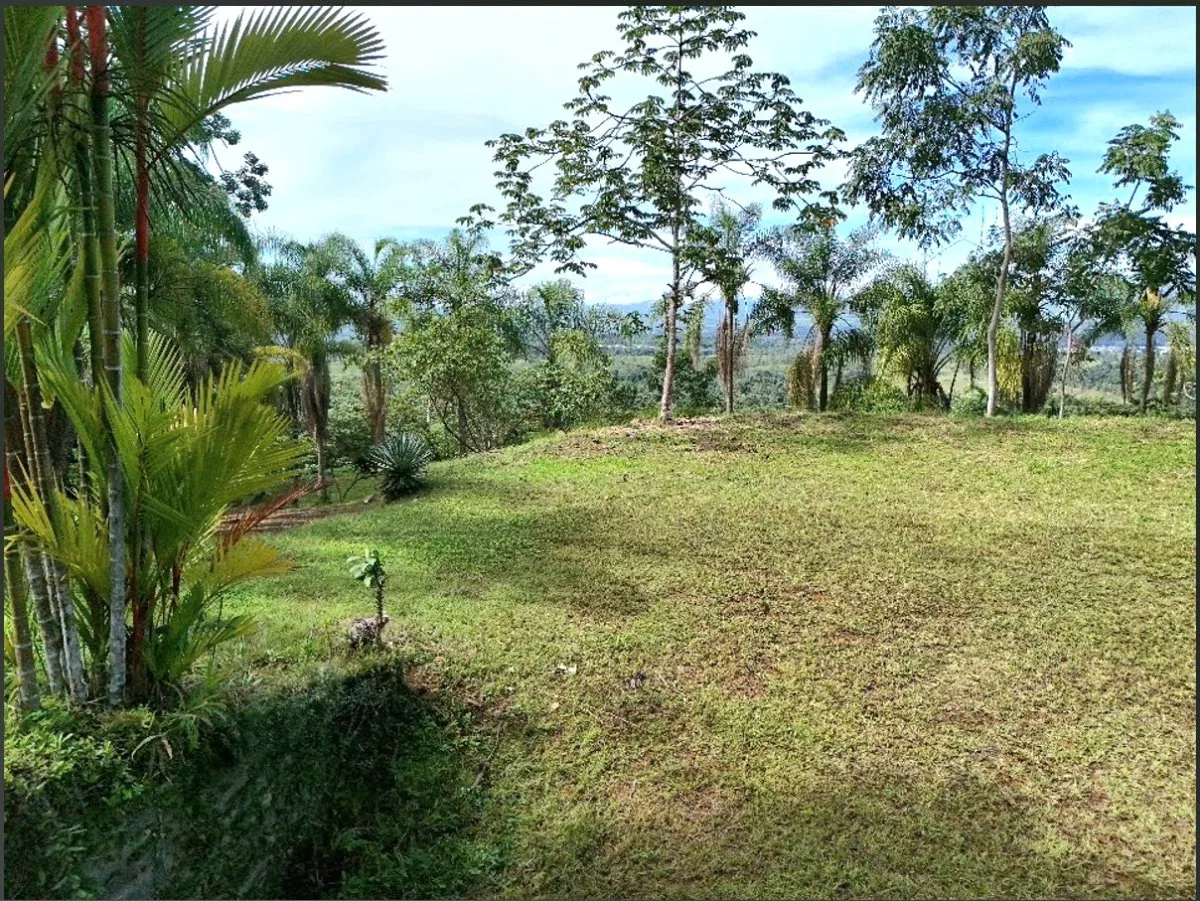 SE VENDE MACROFINCA CON VISTAS PANORAMICAS Y AUTONOMIA HIDRICA EN MIRAVALLES - Venta en Pérez Zeledón