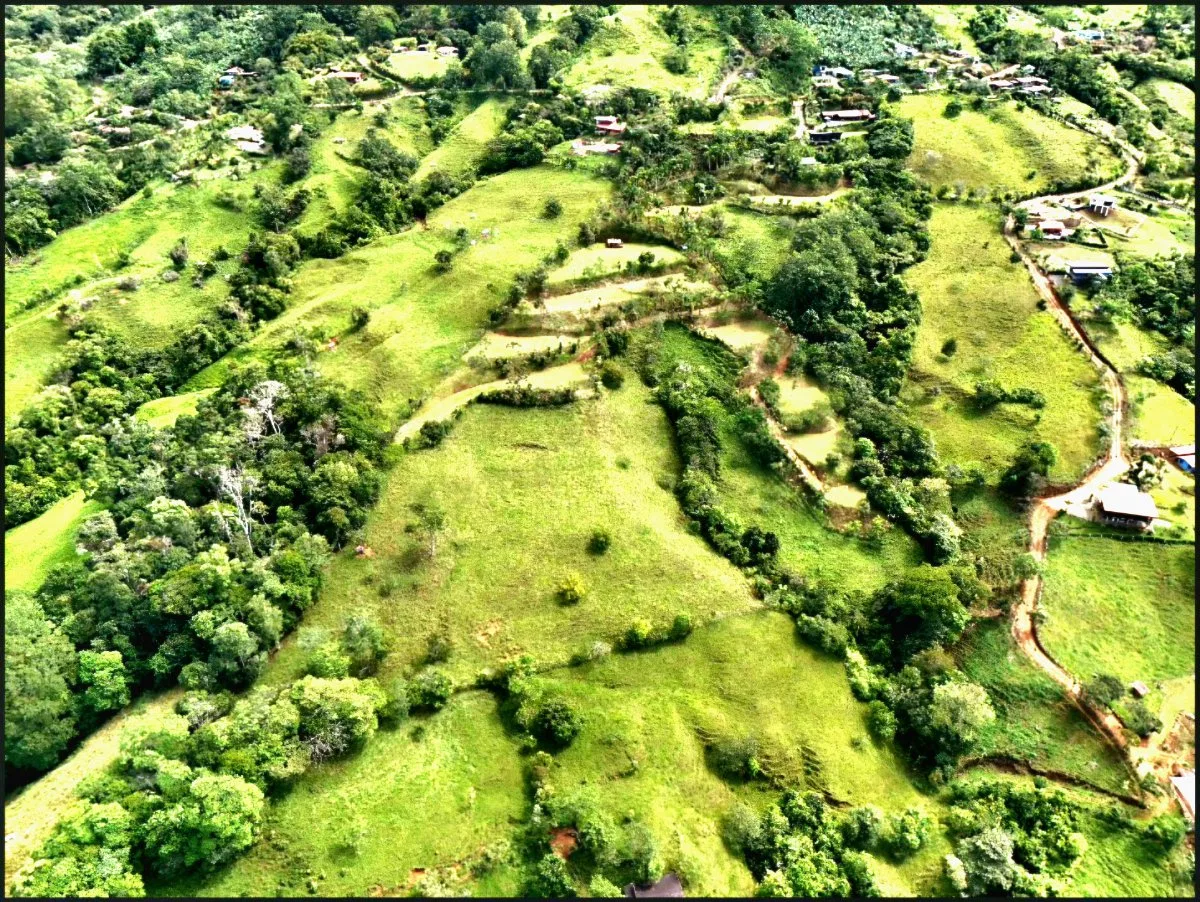 SE VENDE MACROFINCA CON VISTAS PANORAMICAS Y AUTONOMIA HIDRICA EN MIRAVALLES - Venta en Pérez Zeledón, photo 11