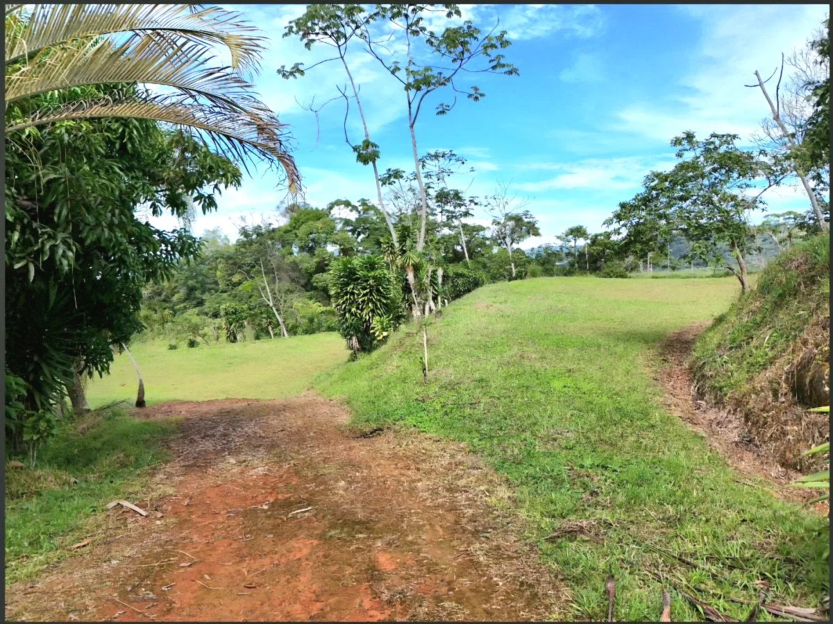 SE VENDE MACROFINCA CON VISTAS PANORAMICAS Y AUTONOMIA HIDRICA EN MIRAVALLES - Venta en Pérez Zeledón, photo 12