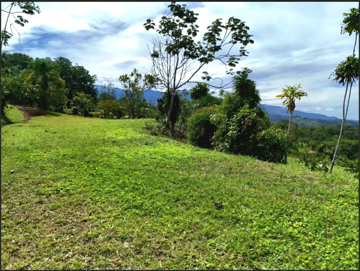 SE VENDE MACROFINCA CON VISTAS PANORAMICAS Y AUTONOMIA HIDRICA EN MIRAVALLES - Venta en Pérez Zeledón, photo 16