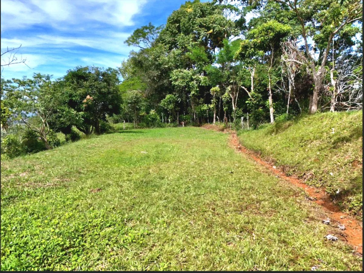 SE VENDE MACROFINCA CON VISTAS PANORAMICAS Y AUTONOMIA HIDRICA EN MIRAVALLES - Venta en Pérez Zeledón, photo 17
