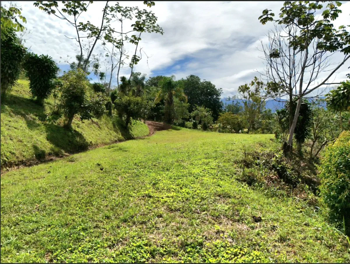 SE VENDE MACROFINCA CON VISTAS PANORAMICAS Y AUTONOMIA HIDRICA EN MIRAVALLES - Venta en Pérez Zeledón, photo 18