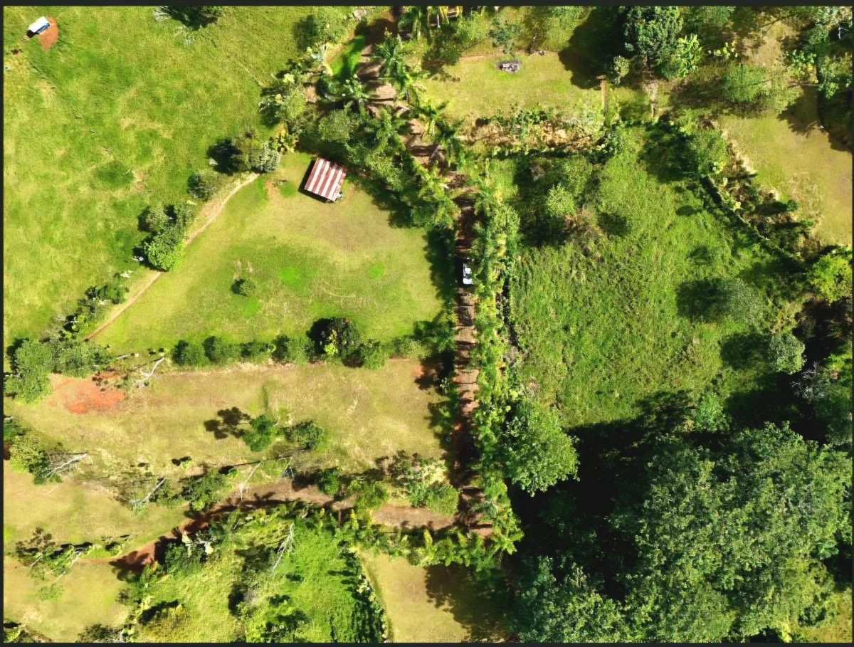 SE VENDE MACROFINCA CON VISTAS PANORAMICAS Y AUTONOMIA HIDRICA EN MIRAVALLES - Venta en Pérez Zeledón, photo 19