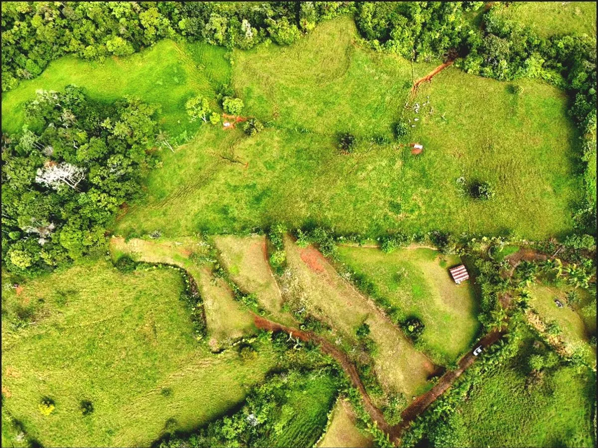 SE VENDE MACROFINCA CON VISTAS PANORAMICAS Y AUTONOMIA HIDRICA EN MIRAVALLES - Venta en Pérez Zeledón, photo 4