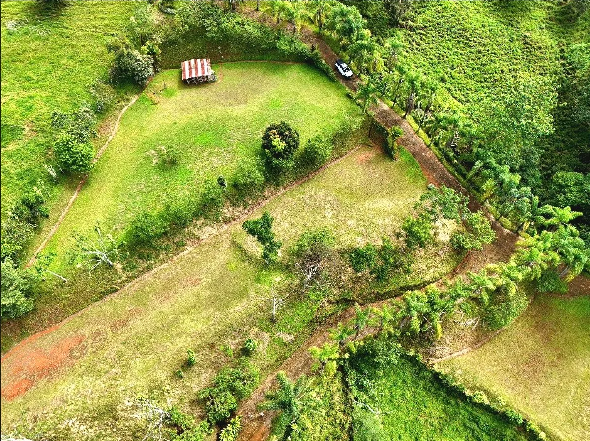 SE VENDE MACROFINCA CON VISTAS PANORAMICAS Y AUTONOMIA HIDRICA EN MIRAVALLES - Venta en Pérez Zeledón, photo 7
