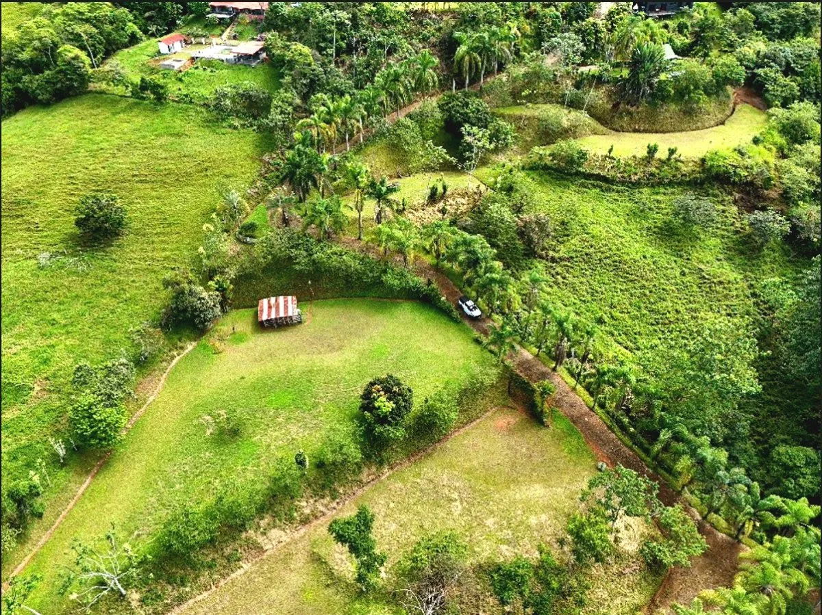 SE VENDE MACROFINCA CON VISTAS PANORAMICAS Y AUTONOMIA HIDRICA EN MIRAVALLES - Venta en Pérez Zeledón, photo 8