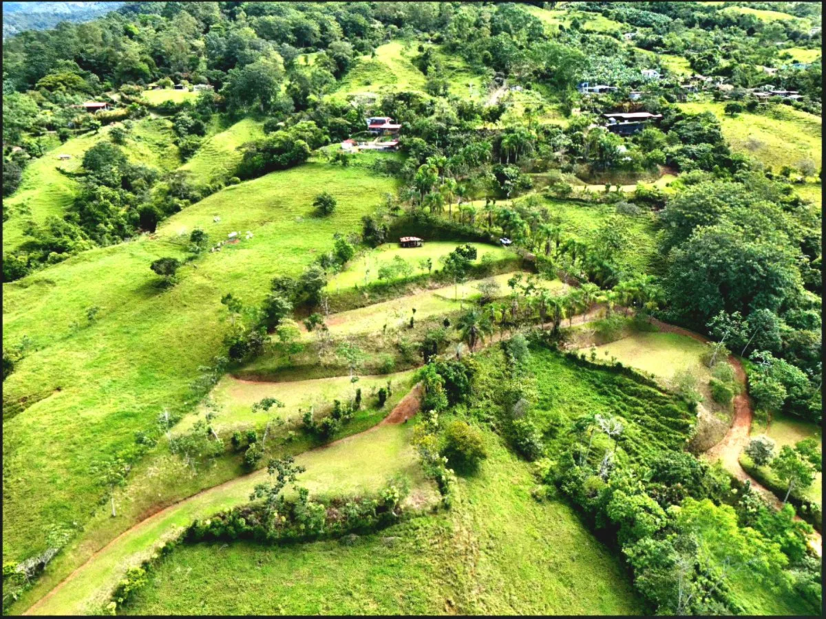 SE VENDE MACROFINCA CON VISTAS PANORAMICAS Y AUTONOMIA HIDRICA EN MIRAVALLES - Venta en Pérez Zeledón, photo 9