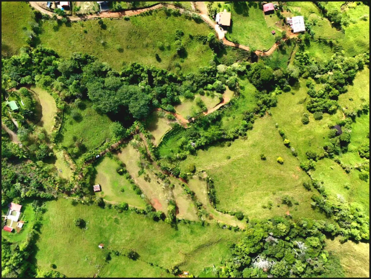 SE VENDE MACROFINCA CON VISTAS PANORAMICAS Y AUTONOMIA HIDRICA EN MIRAVALLES - Venta en Pérez Zeledón, photo 10