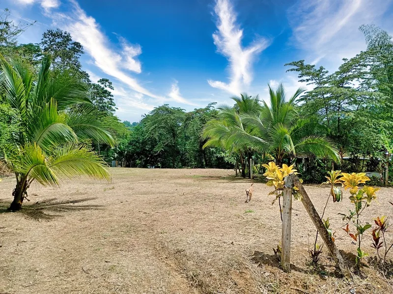Land For Sale in Cahuita, photo 2