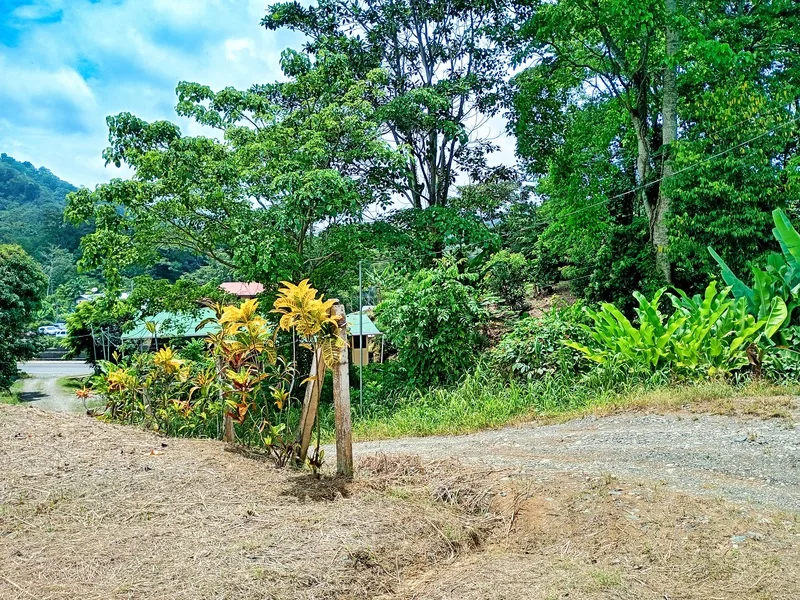 Land For Sale in Cahuita, photo 11