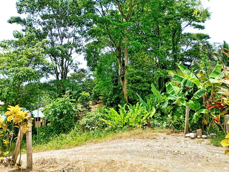Land For Sale in Cahuita, photo 12