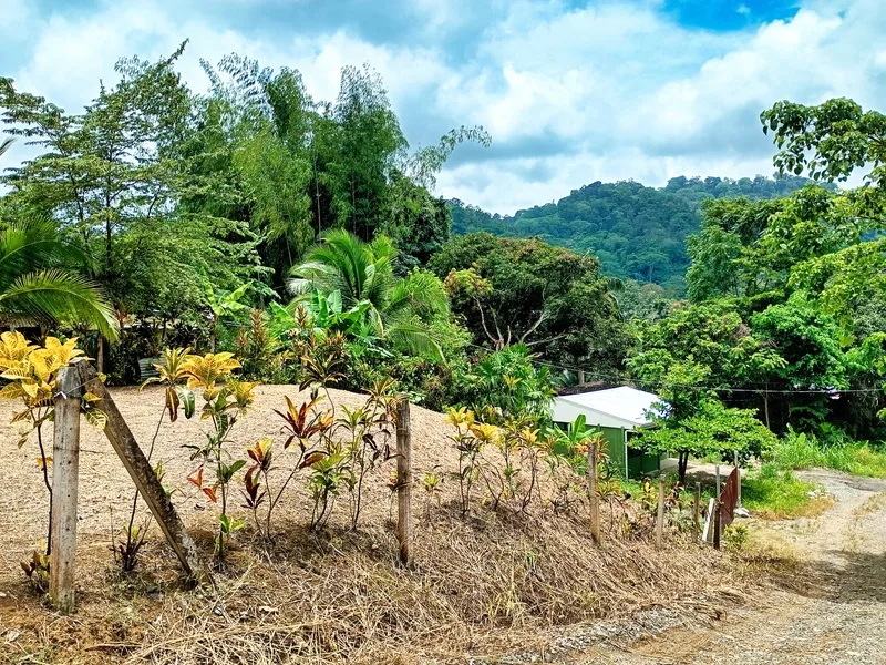 Land For Sale in Cahuita, photo 3