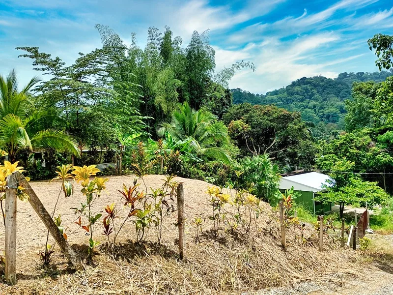 Land For Sale in Cahuita, photo 4