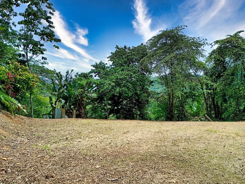 Land For Sale in Cahuita, photo 5