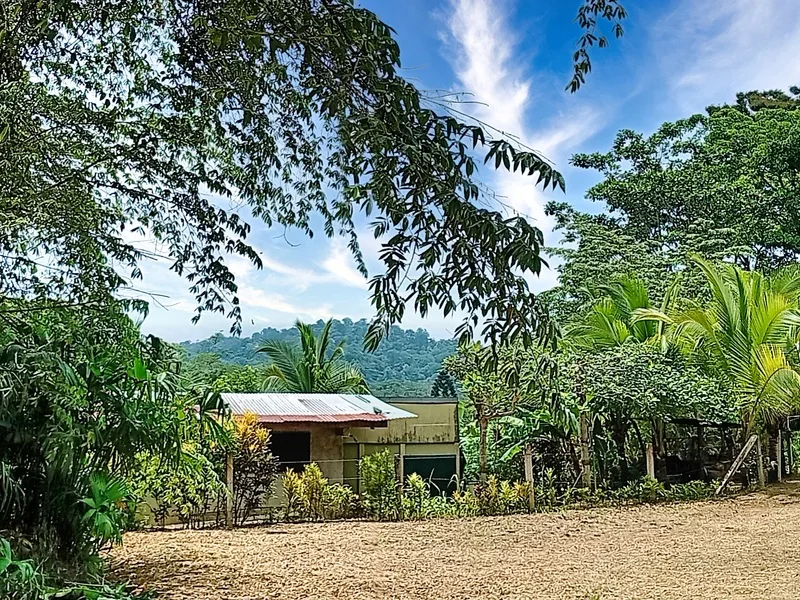 Land For Sale in Cahuita, photo 8