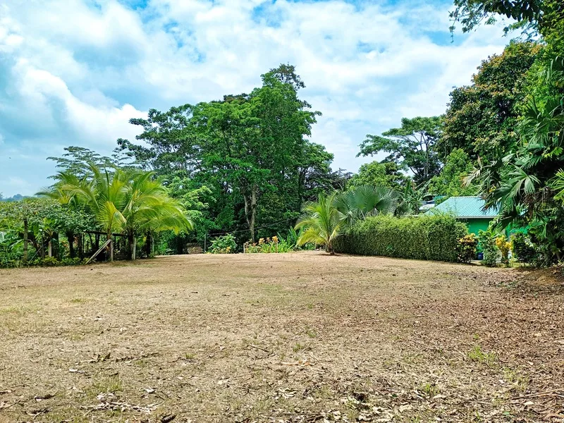 Land For Sale in Cahuita, photo 9