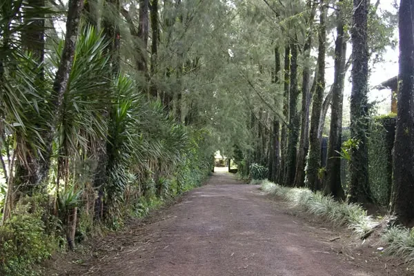 The ZICS (Industrial, Commercial, and Services Zone) is located on land adjacent to the Braulio Carrillo Colina Highway, in a 100-meter strip on both sides of the right-of-way. The ..., photo 8