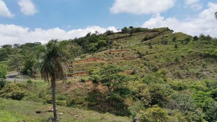 venta de lote en san jose moravia - Venta en San Jerónimo, photo 6