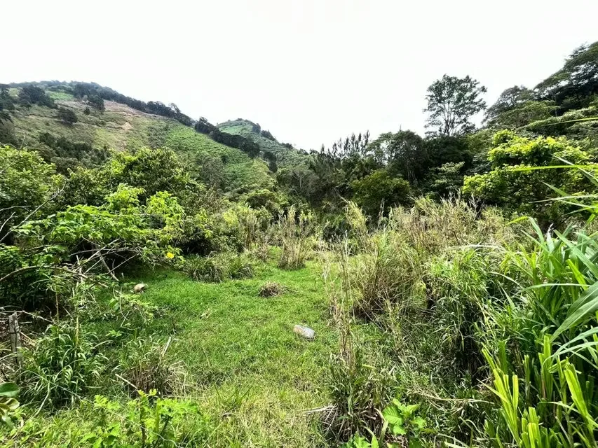 RAH 27-740 MJM An excellent opportunity for those looking for a wide, nature-surrounded land with very good connection to San Jose and Heredia. More than 3000 square mtrs of land and ...
