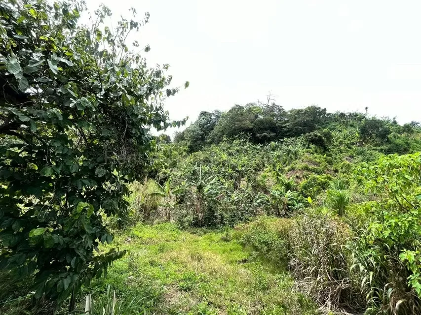 RAH 27-740 MJM An excellent opportunity for those looking for a wide, nature-surrounded land with very good connection to San Jose and Heredia. More than 3000 square mtrs of land and ..., photo 2